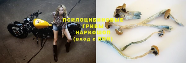 ГАЛЛЮЦИНОГЕННЫЕ ГРИБЫ Алексин