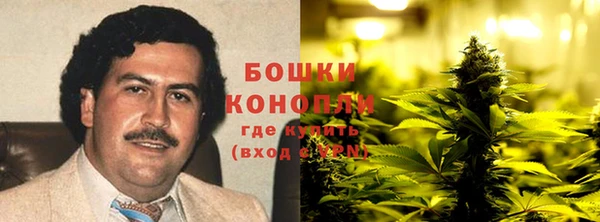 ГАЛЛЮЦИНОГЕННЫЕ ГРИБЫ Алексин