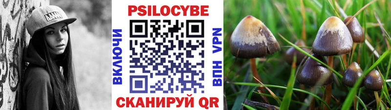 Псилоцибиновые грибы GOLDEN TEACHER  Ижевск 
